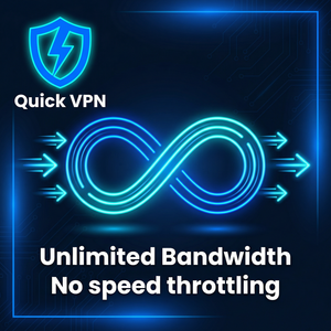 Quick VPN的报告救助检查 - Quick VPN官网